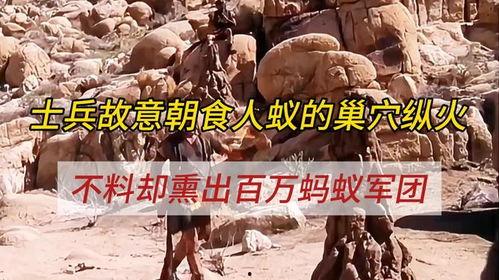 食人蚁军团在线观看,在线惊悚探险之旅  第1张